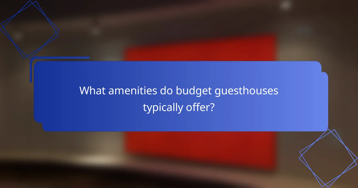 What amenities do budget guesthouses typically offer?