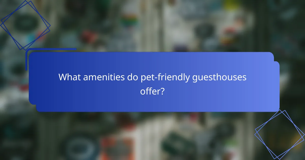 What amenities do pet-friendly guesthouses offer?
