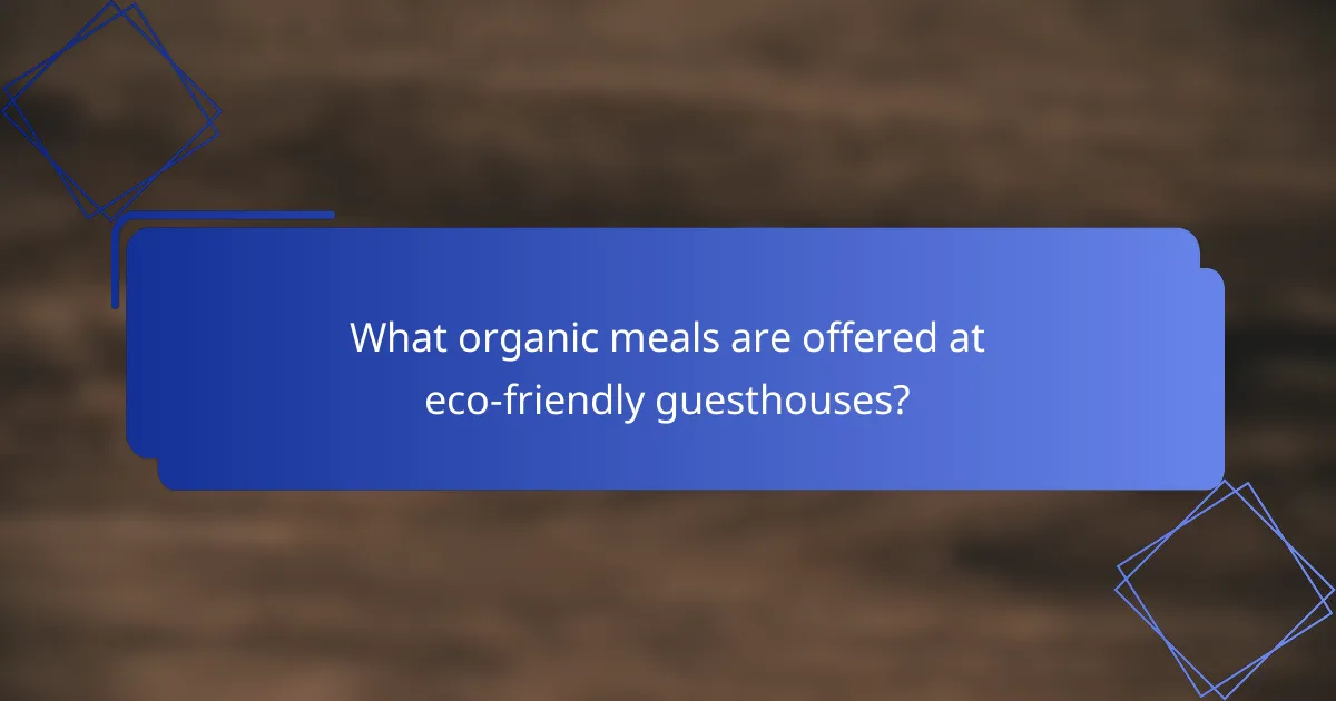 What organic meals are offered at eco-friendly guesthouses?