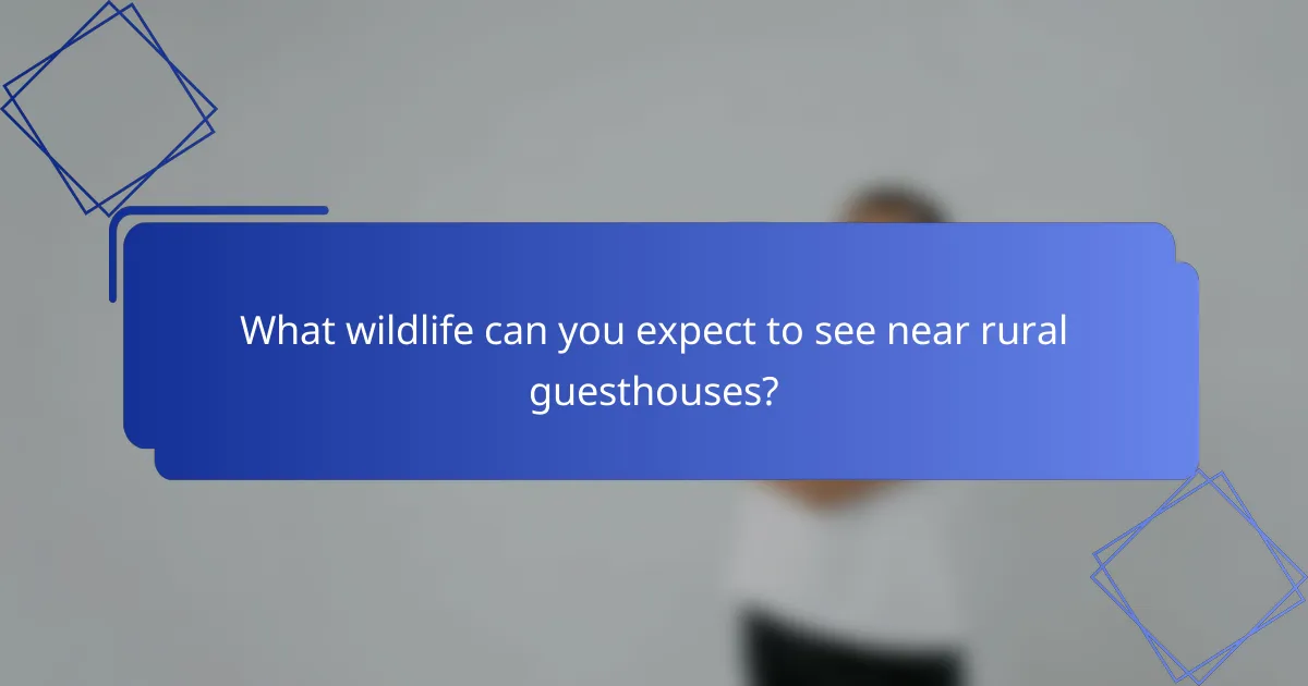 What wildlife can you expect to see near rural guesthouses?